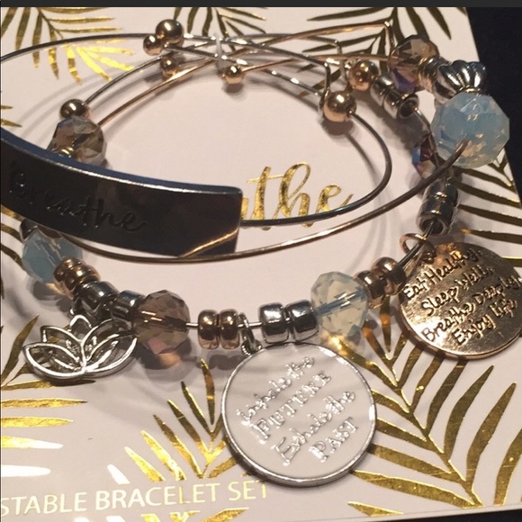 2-piece NWT necklace and charm bracelets - Picture 7 of 8